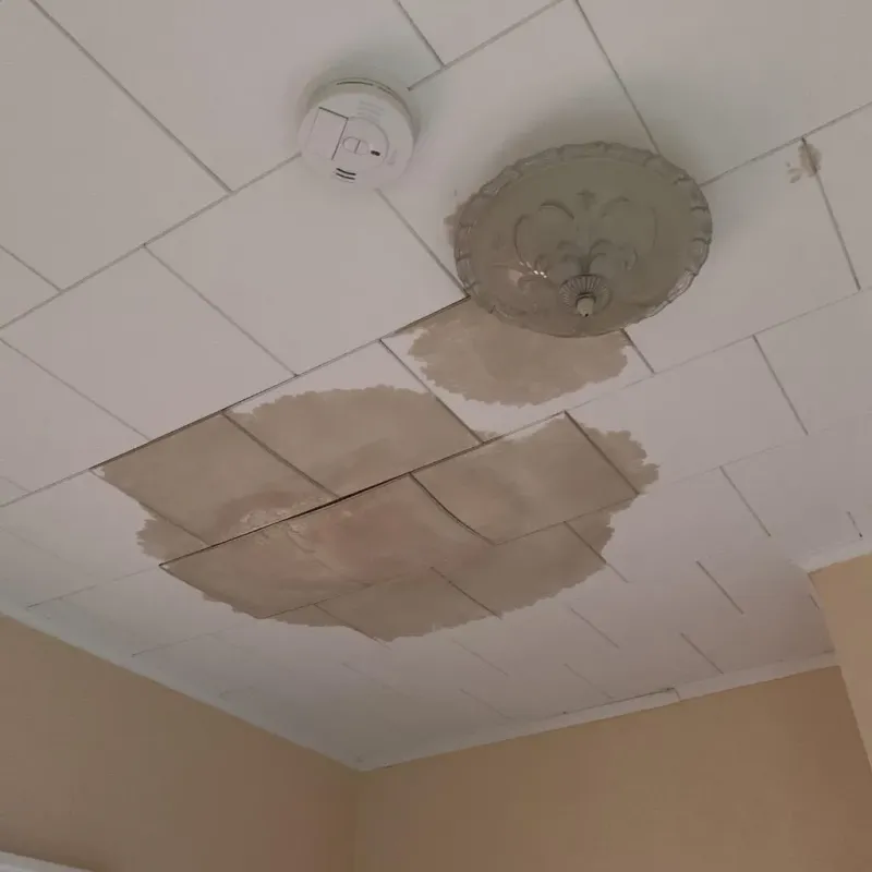 Ceiling Water Damage Repair in Saint Johns County, FL